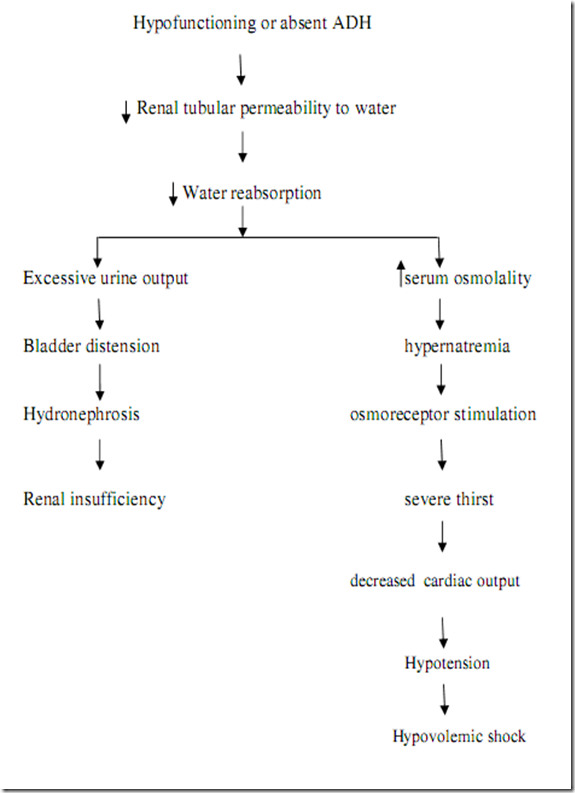 Ideal Cure...: Diabetes